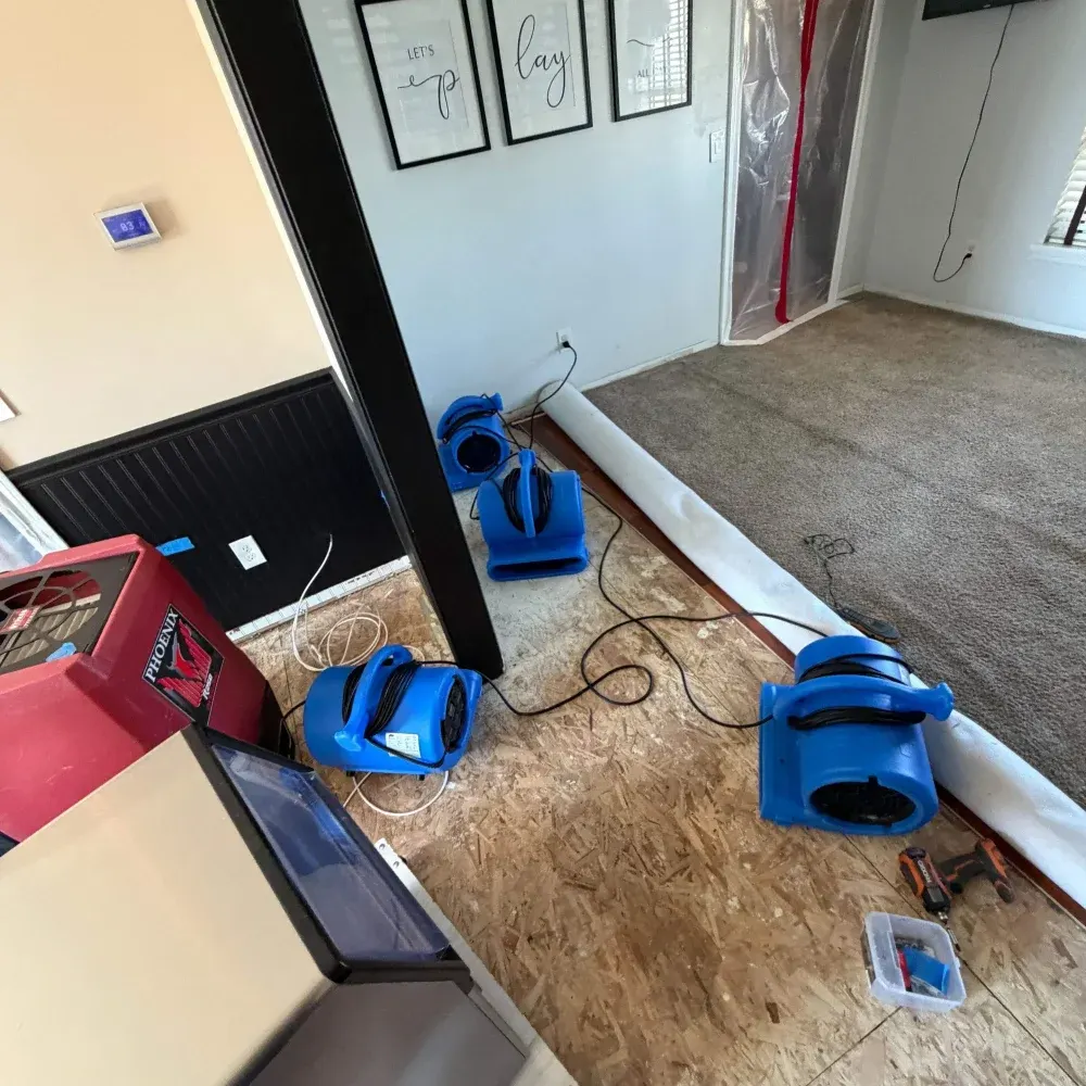 Restoration in Olive Branch Manor